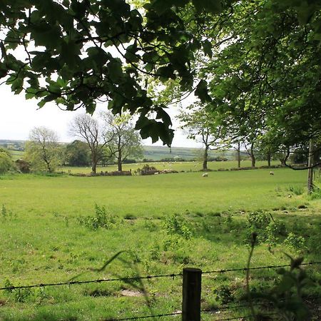 Treffynnon Ty Llwyd B&B 외부 사진