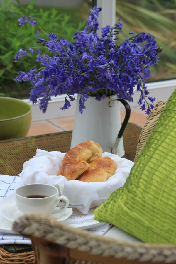 Treffynnon Ty Llwyd B&B 외부 사진